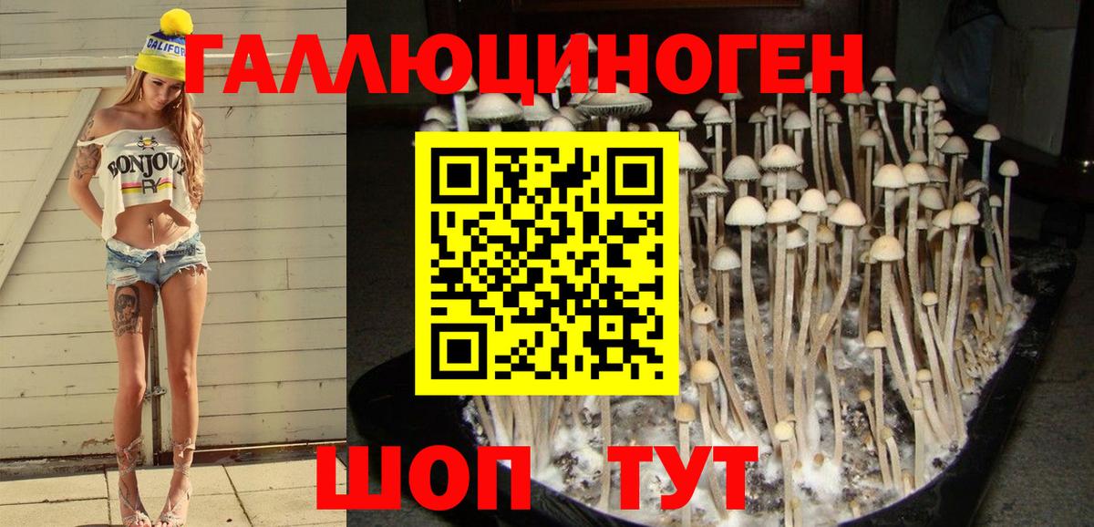 Шелехов  Псилоцибиновые грибы Magic Shrooms  Вход с VPN 